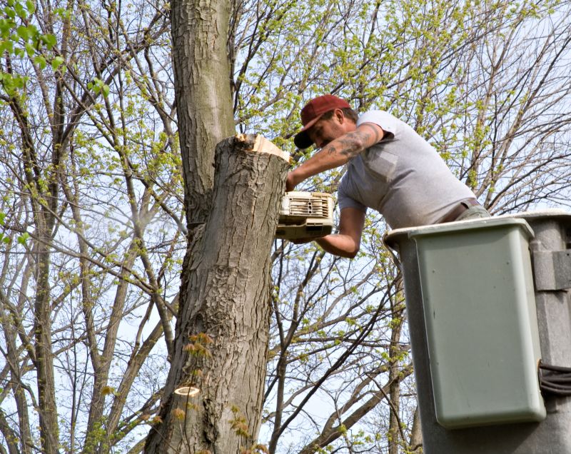 Commercial Tree Service