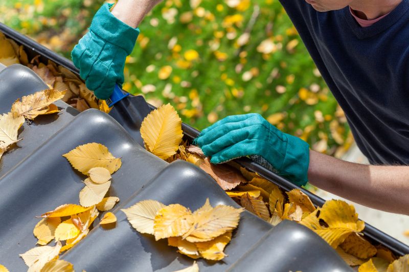 Gutter Leaf Removal