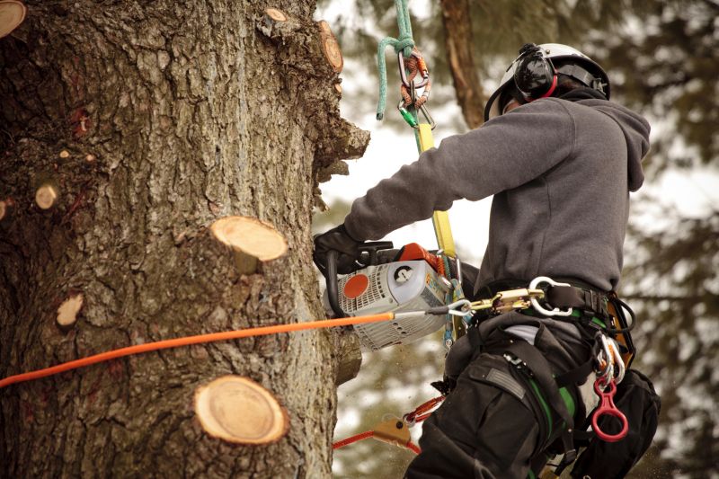 Arborist Equipment